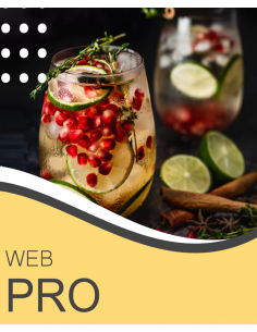 copy of Carta Básica