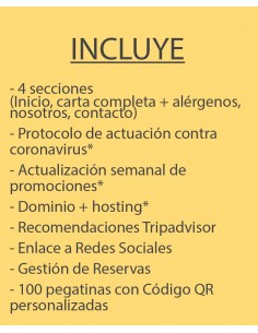 copy of Carta Básica 2